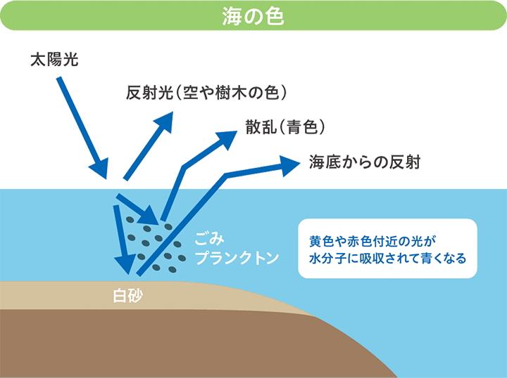 水の色は何色 Apiste 水のはなし