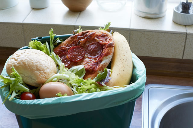 食品ロス削減で地球を救う～SDGsつくる責任つかう責任～