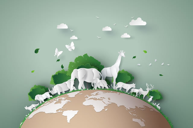 絶滅危惧種の現状と保護・保全活動 SDGs~目標15.陸の豊かさも守ろう~